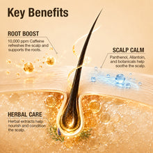 Load image into Gallery viewer, Root-Biome™ Caffeine Scalp Ampoule 20ml